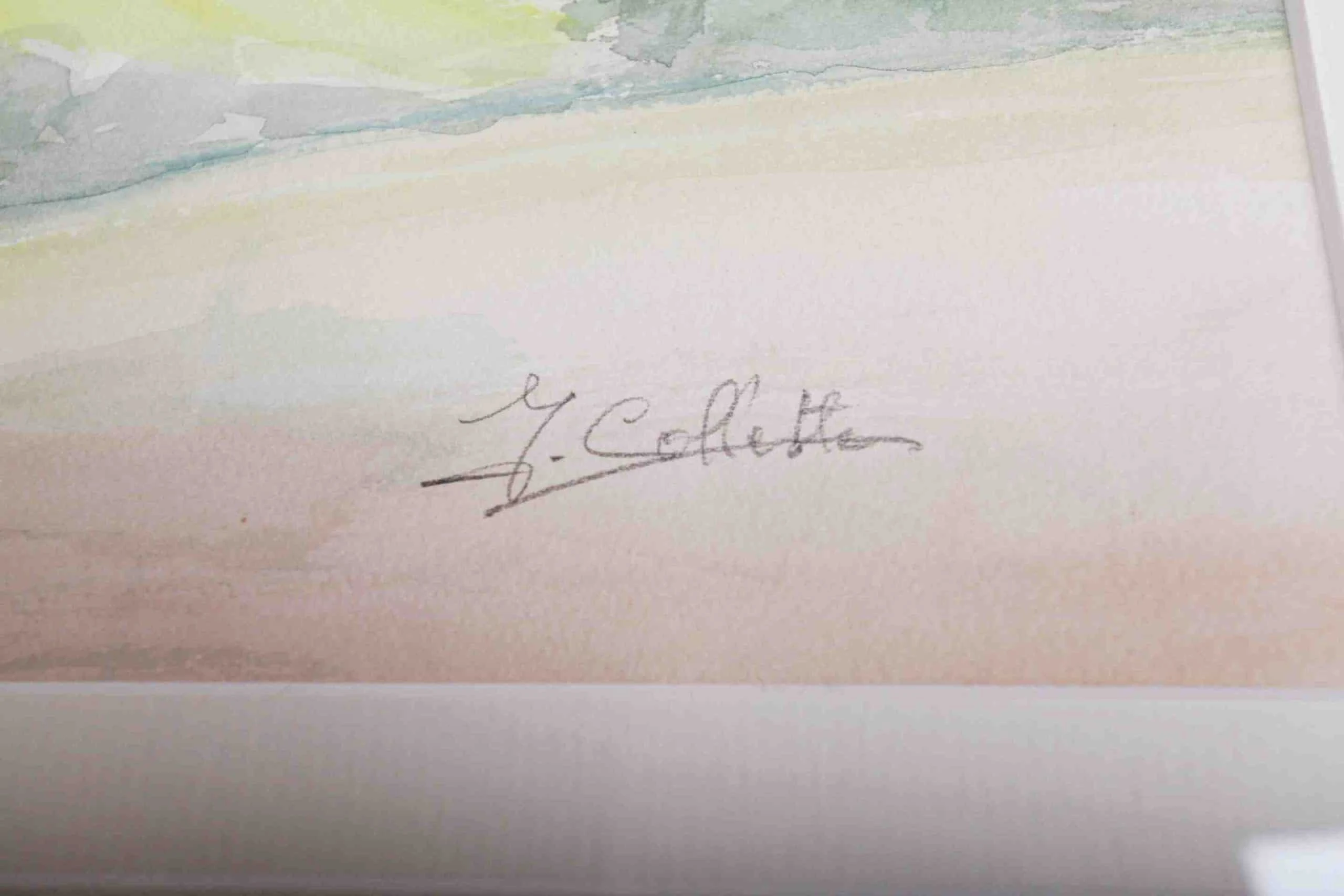 Y. Collette Chaloupka