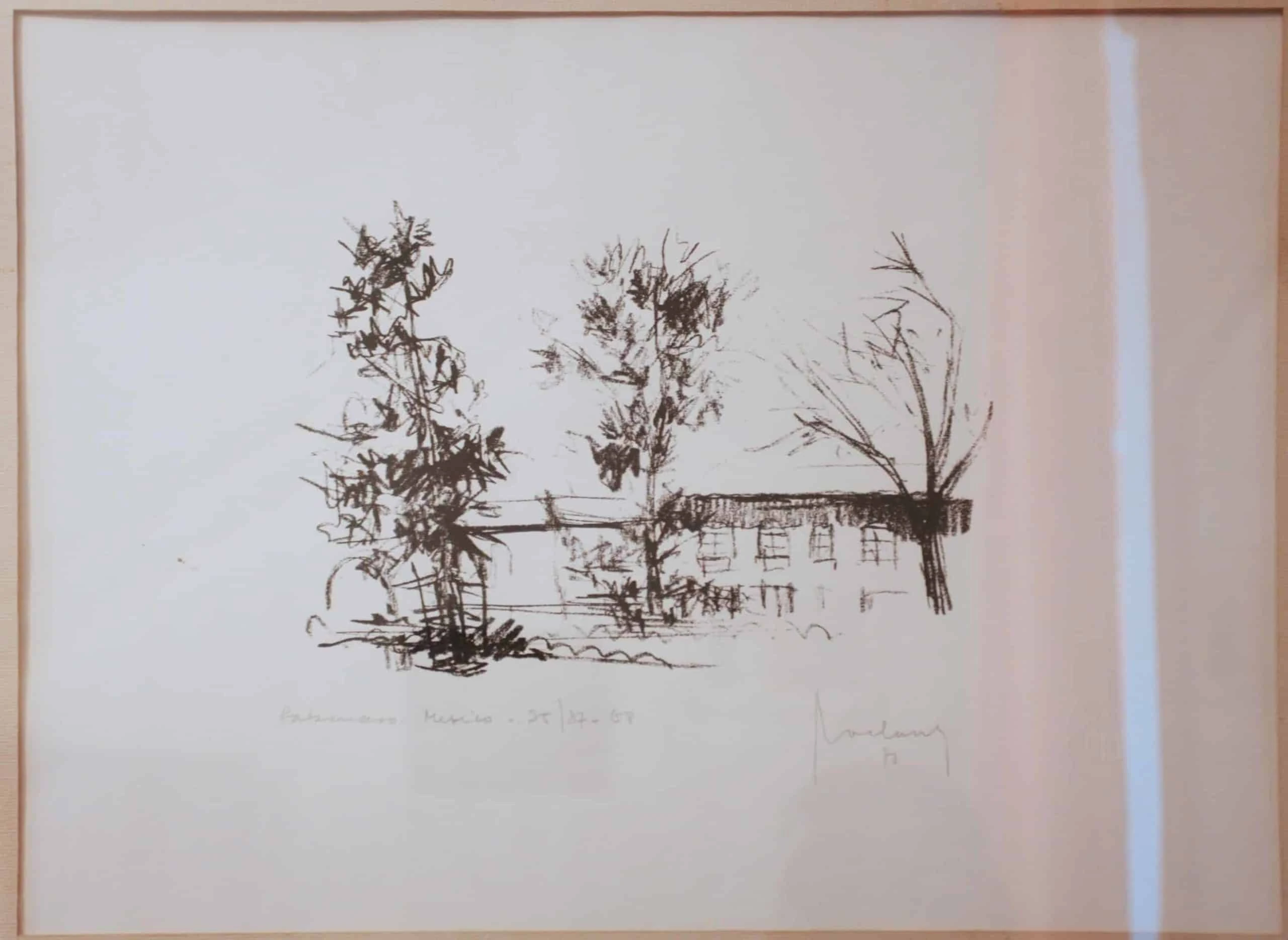 Kresba uhlem. Mexiko