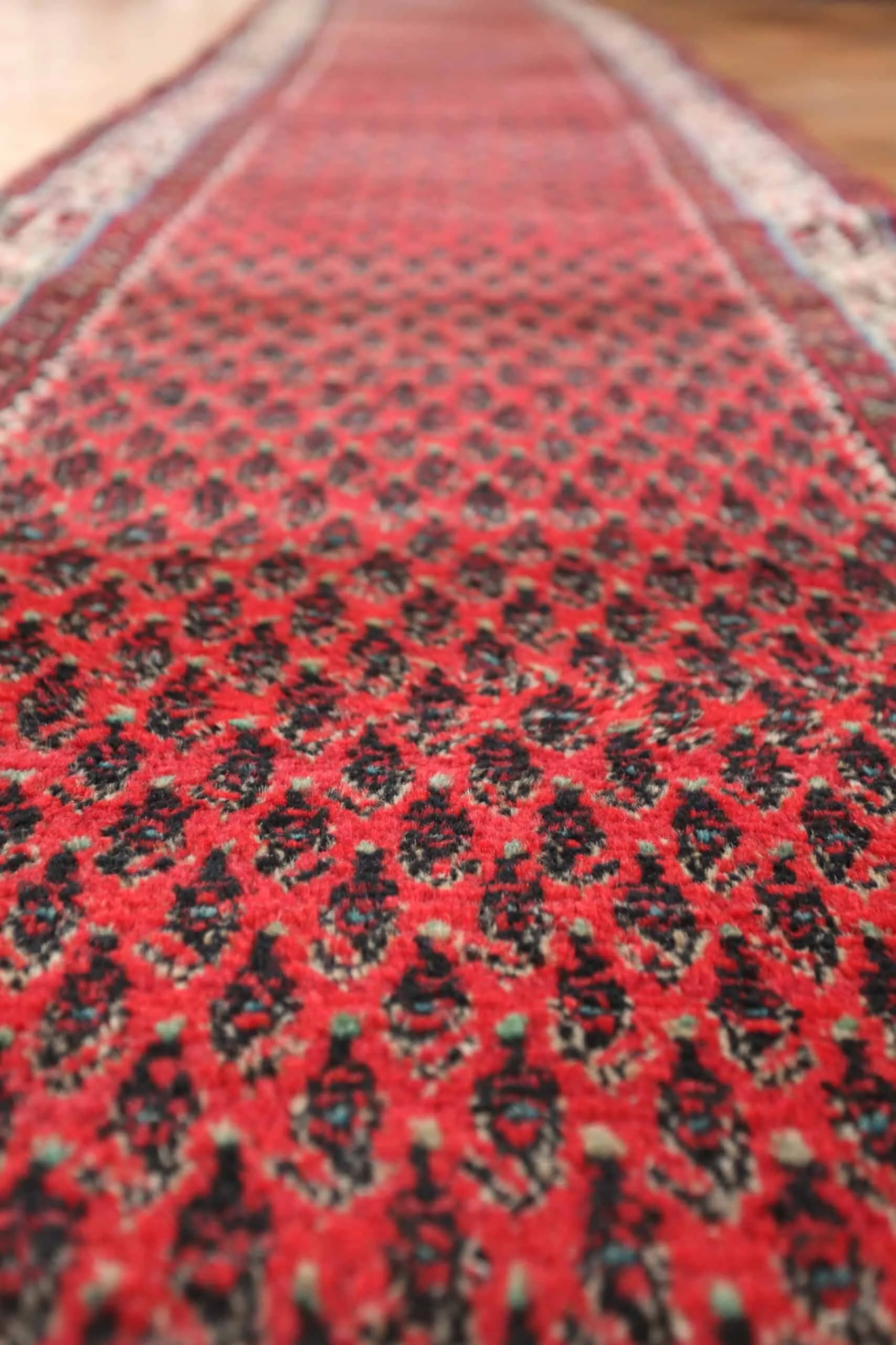 Párové perské běhouny Sarough Mir 507 X 82 cm