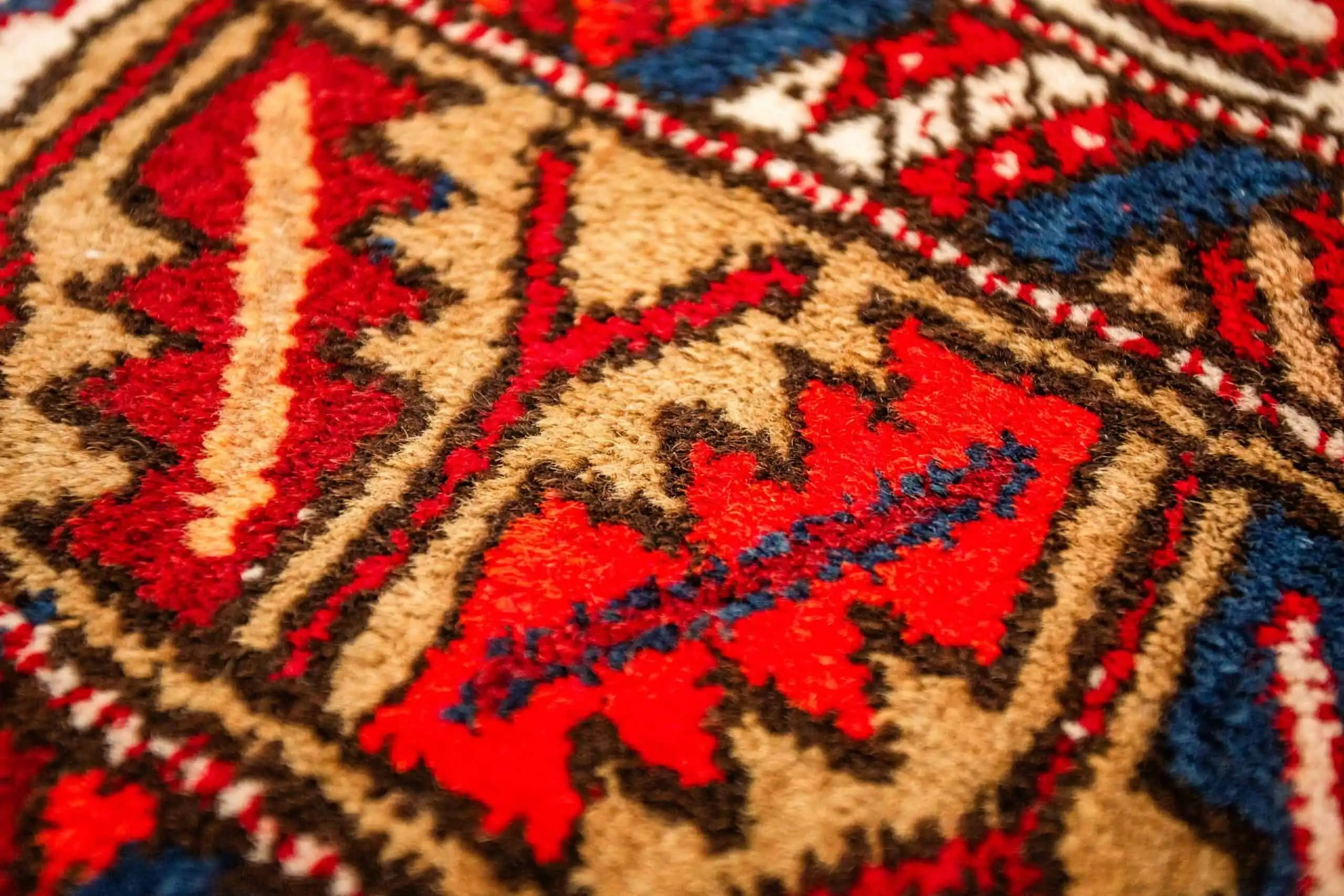 Ručně vázaný koberec Shirvan 300 X 155 cm