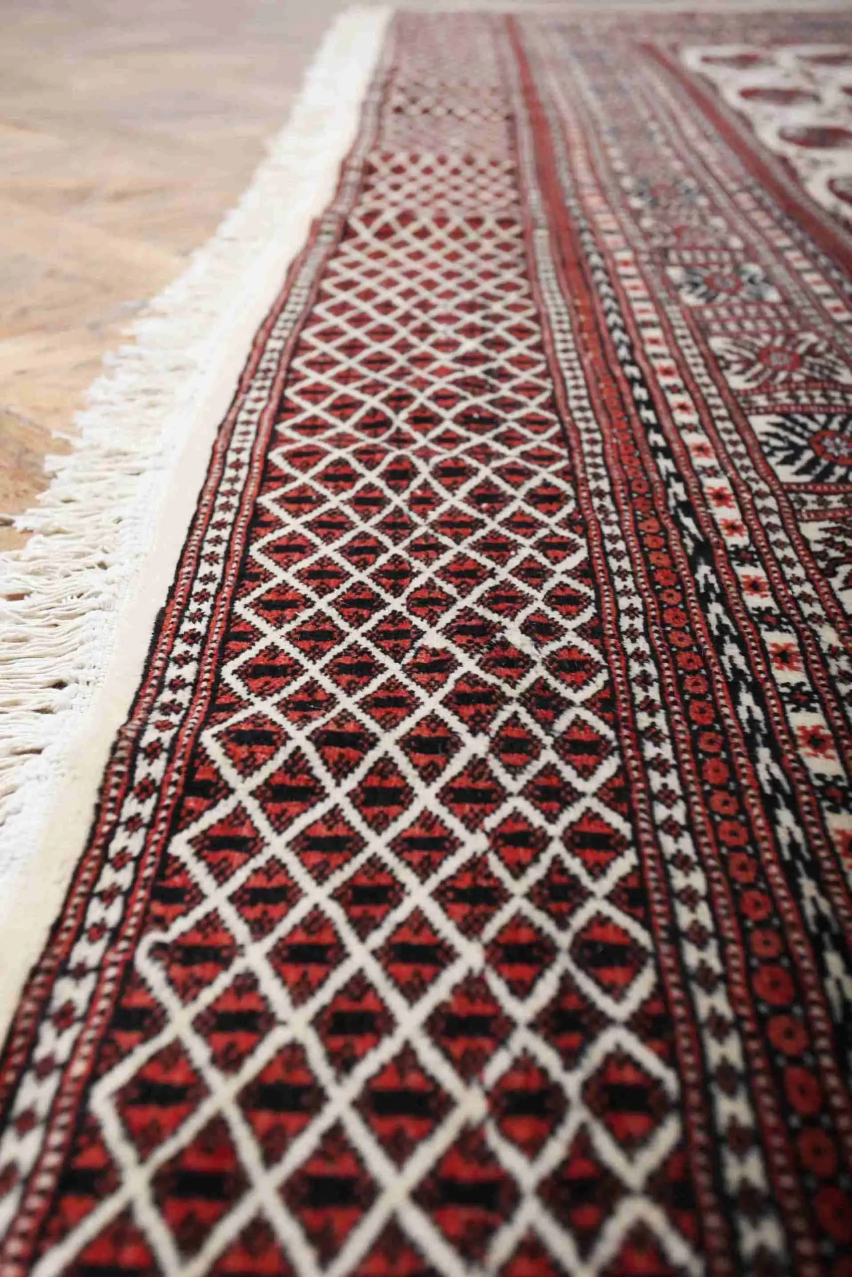Pakistánský koberec Buchara 360 x 248 cm