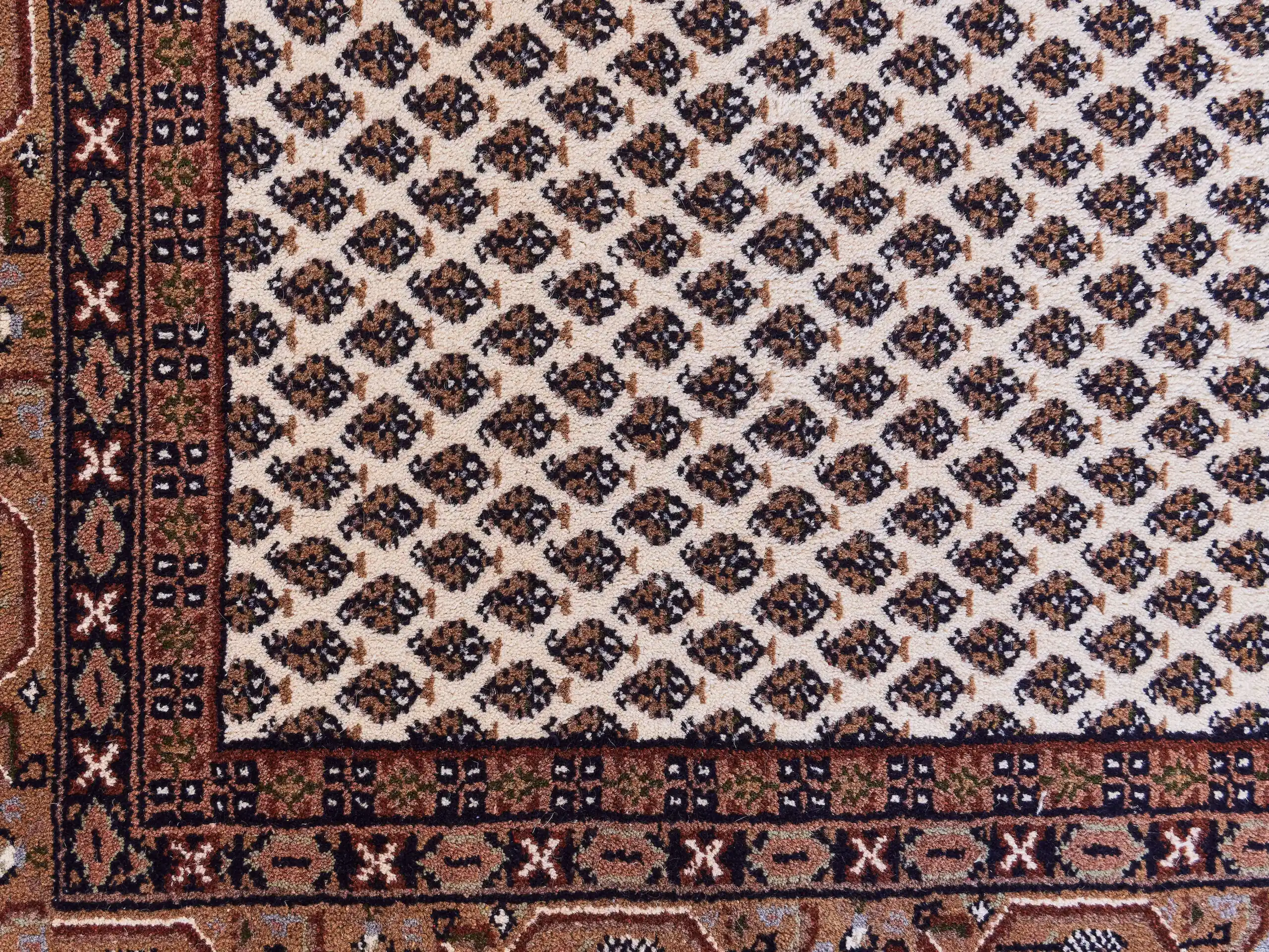 Perský koberec Sharoug Mir 246 X 170 cm