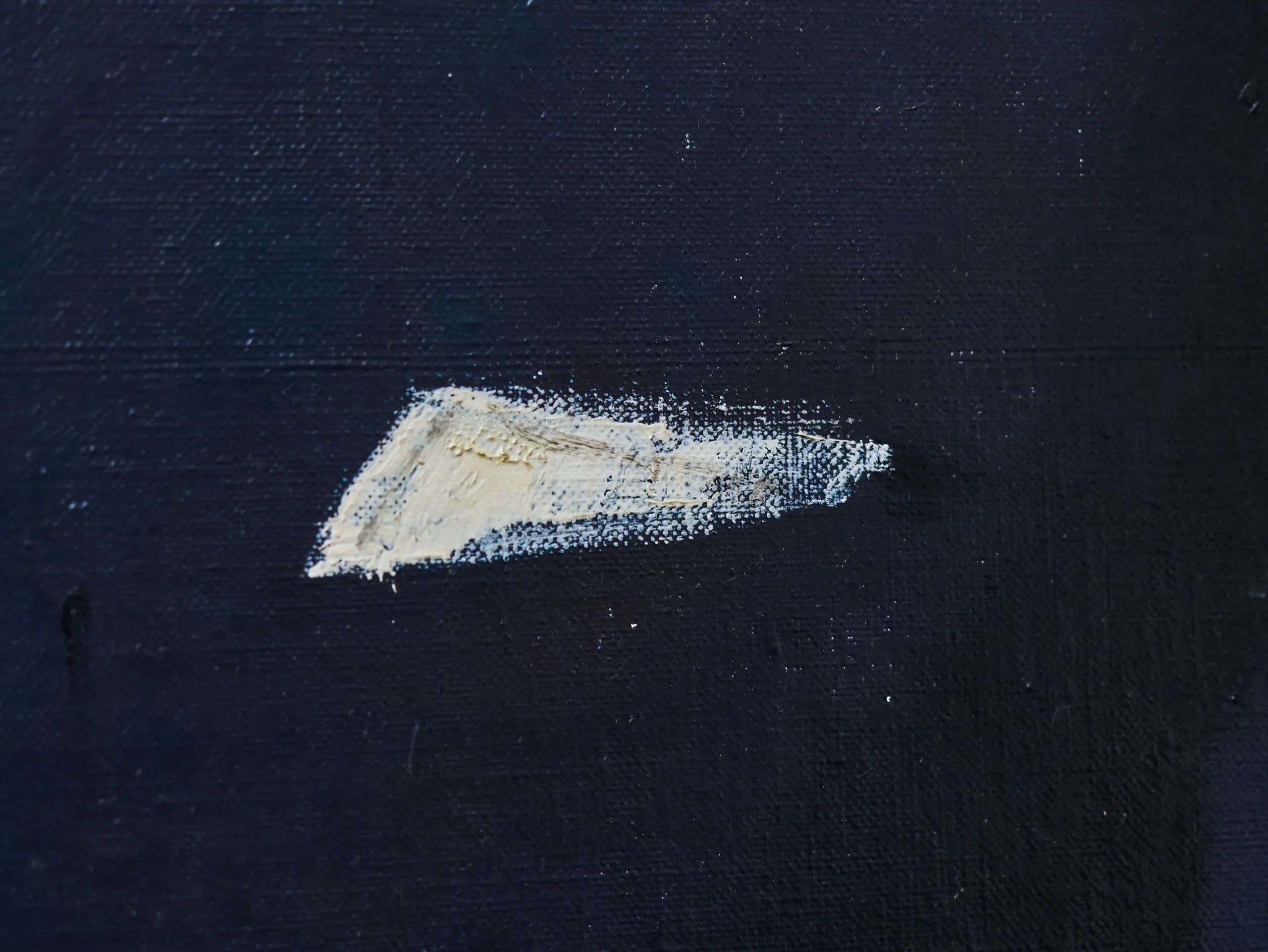 Portrét muže Jan van Loo 114 x 95 cm