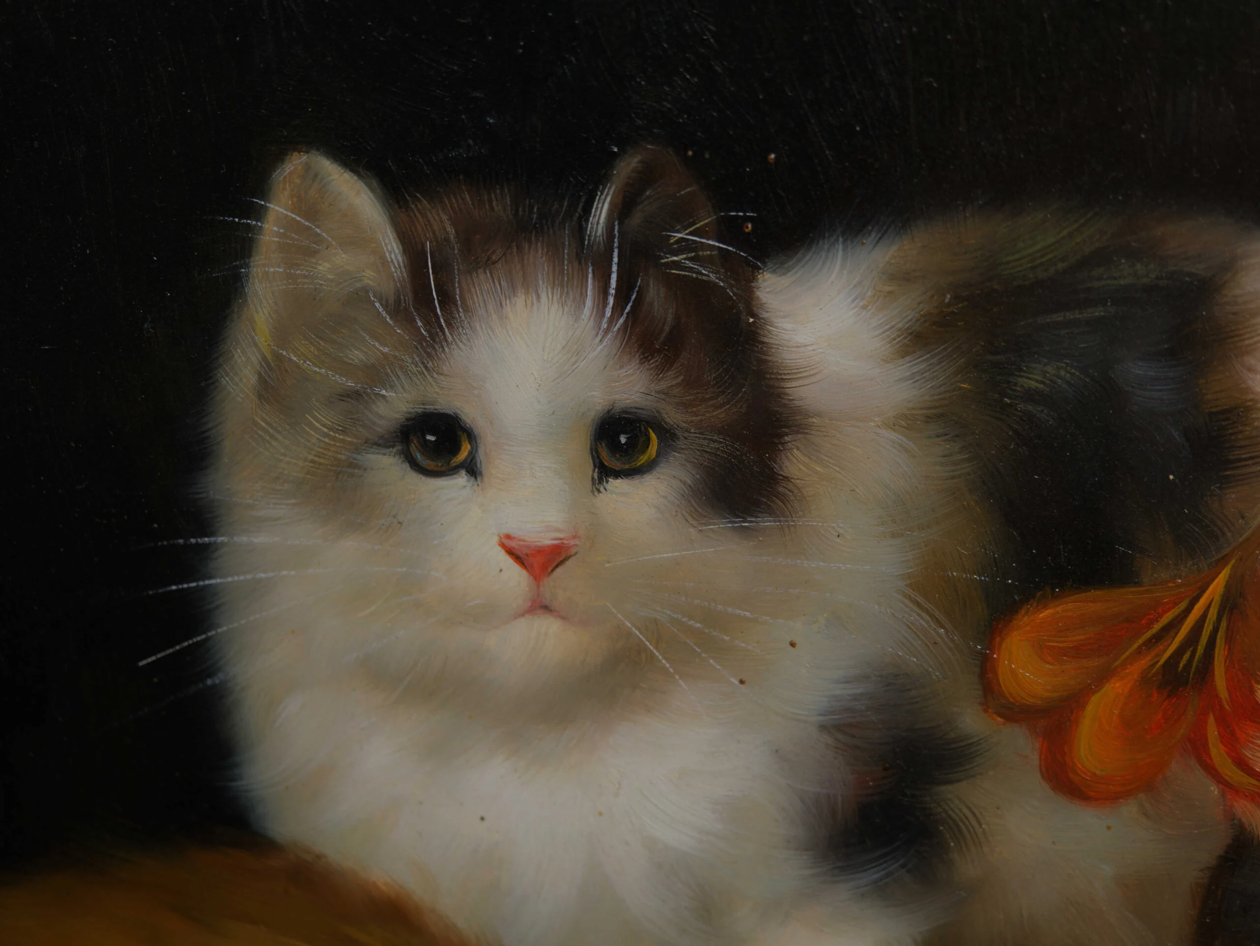 Obraz koťátka. Olej na desce 54 X 44 cm